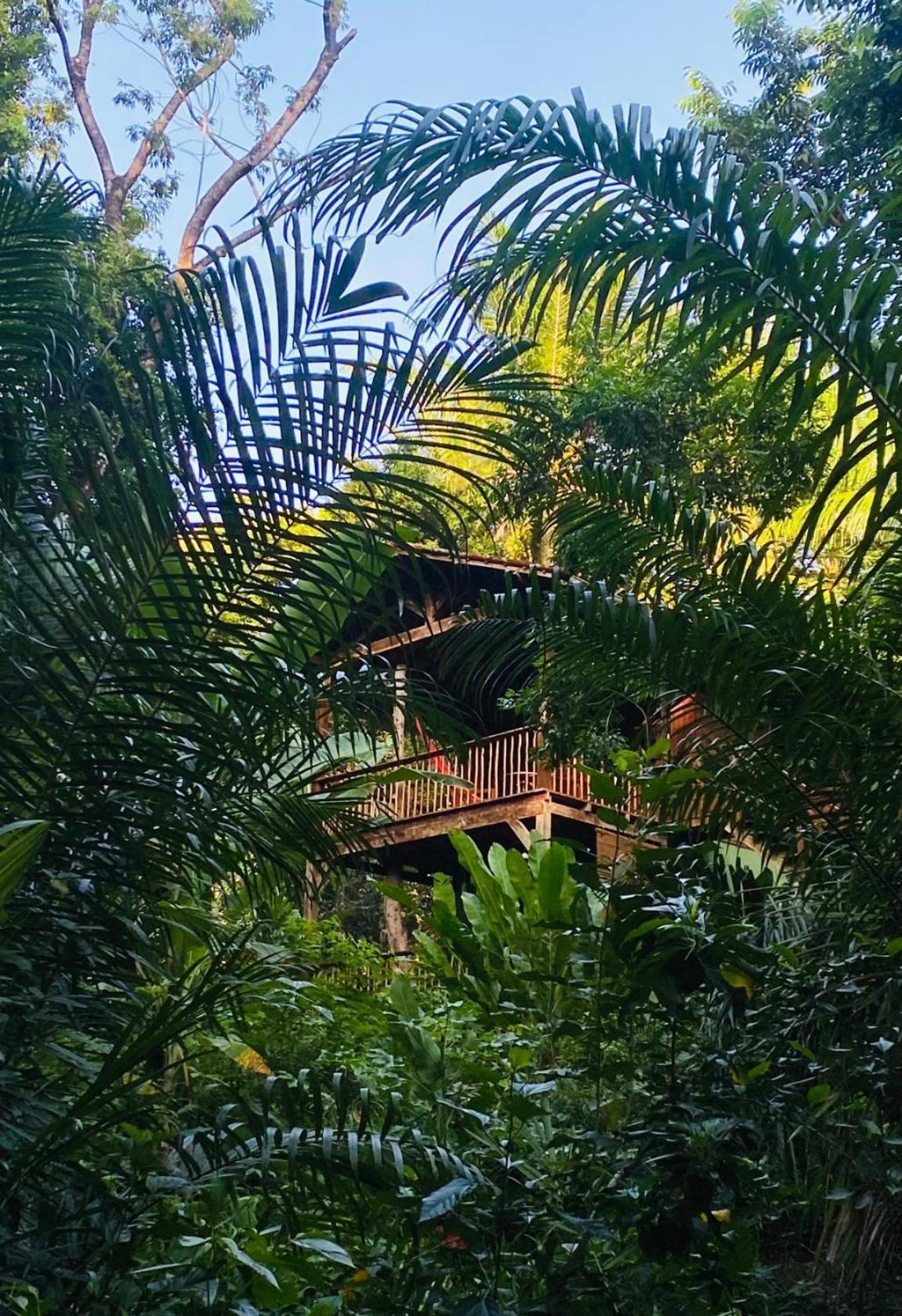 Pousada Anjali Velha Boipeba エクステリア 写真